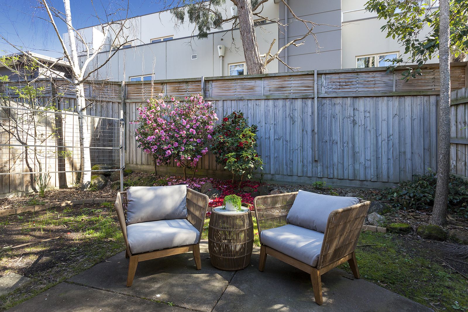 Pinetree Donvale, properties - Backyard