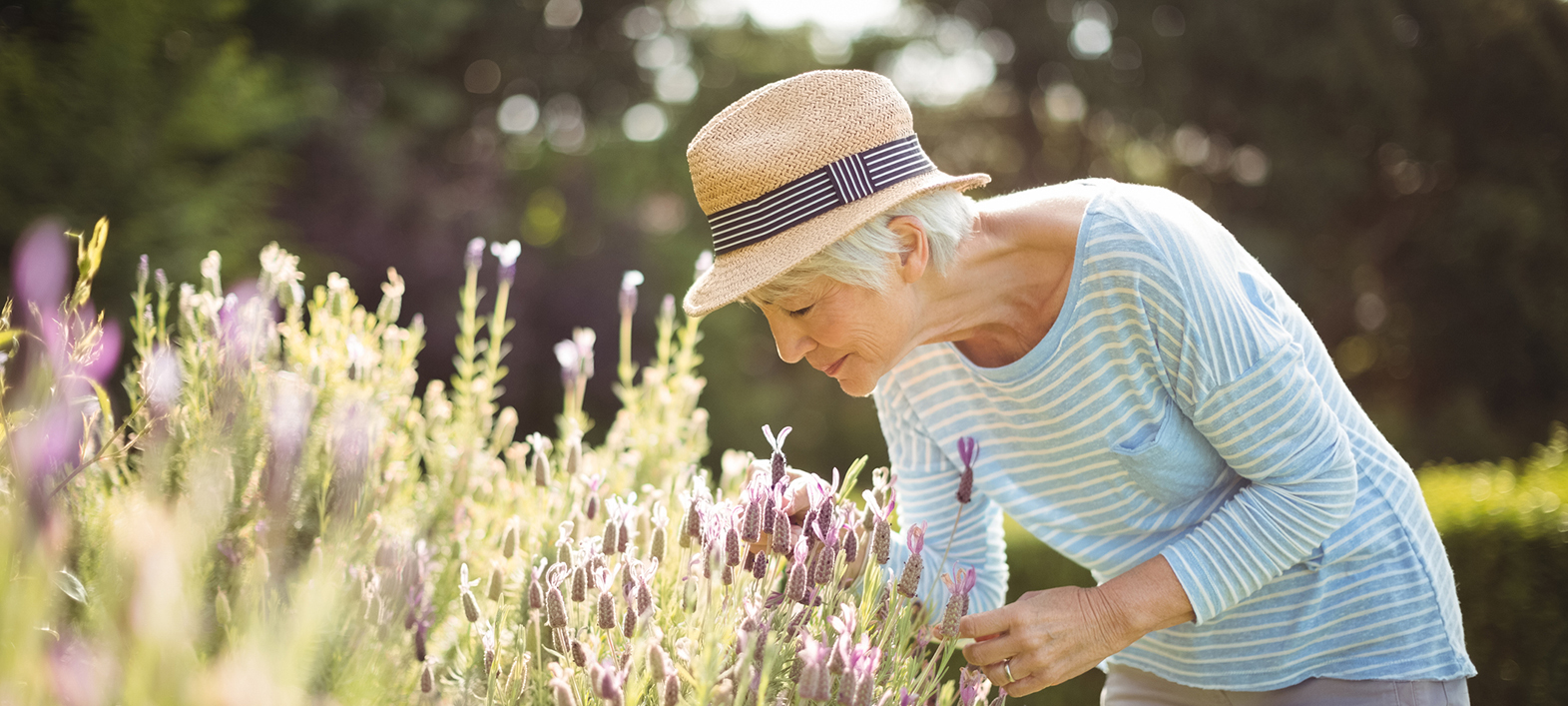 Pinetree Donvale, retirement living - gardening