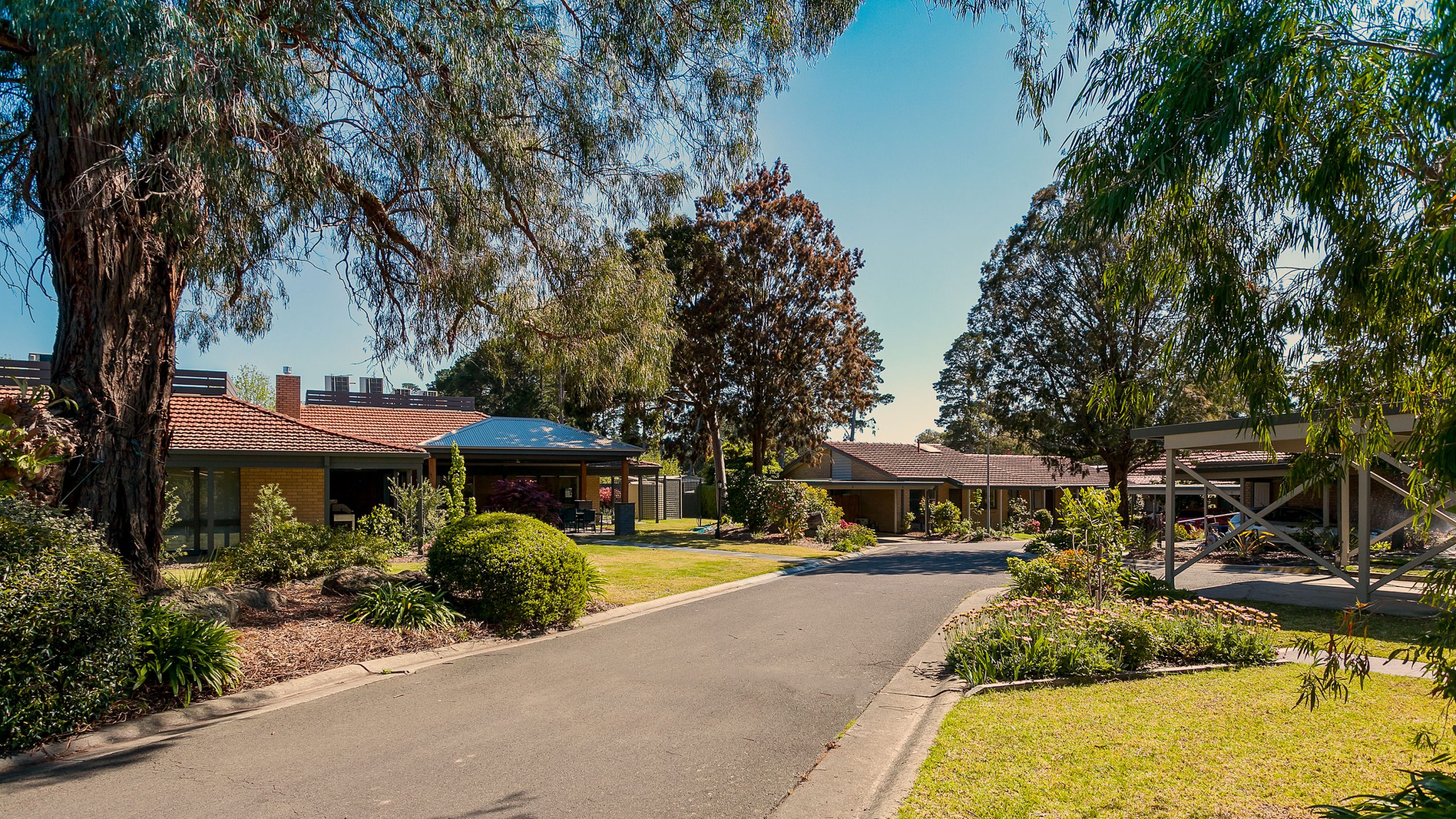 Pinetree Donvale, retirement living - Villas